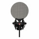 sE Electronics X1 S Vocal Pack - Mikrofon studyjny pojemnościowy z koszem i pop-filtrem