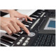 MEDELI AW830 - keyboard z klawiaturą dynamiczną 76 klawiszy i portem USB
