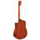 ARS NOVA AN-450 CEQ Electro-Acoustic Player Pack - Zestaw gitara z piecykiem akustycznym i tunerem