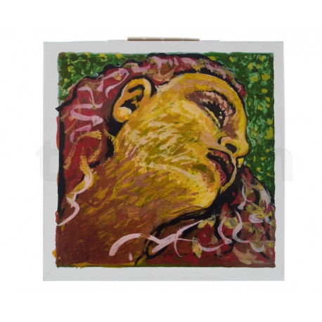 Evah Pirazzi NEO - struny skrzypcowe