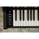 CASIO AP-300 BK - pianino cyfrowe