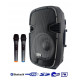 ACE PAQ-12AB - Kolumna z 2 mikrofony bezprzewodowe, akumulator, Radio FM, Bluetooth