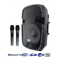 ACE PAQ-12AB - Kolumna z 2 mikrofony bezprzewodowe, akumulator, Radio FM, Bluetooth