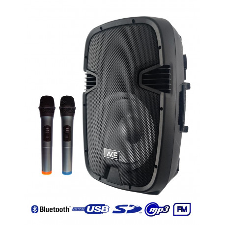 ACE PAQ-12AB - Kolumna z 2 mikrofony bezprzewodowe, akumulator, Radio FM, Bluetooth