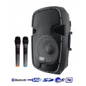 ACE PAQ-12AB - Kolumna z 2 mikrofony bezprzewodowe, akumulator, Radio FM, Bluetooth