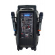ACE PAQ-12AB - Kolumna z 2 mikrofony bezprzewodowe, akumulator, Radio FM, Bluetooth