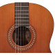 SALVADOR CORTEZ CC-22 - Gitara klasyczna