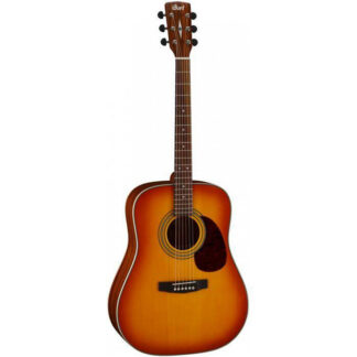 Earth 70 LVBS Gitara akustyczna - Lity Top