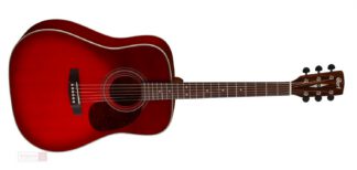 Earth 70 TWB Gitara akustyczna
