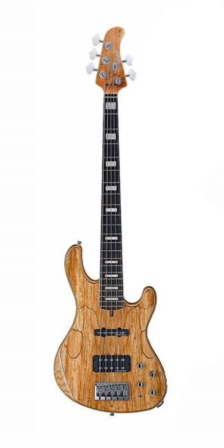CORT GB-5 Custom NAT
