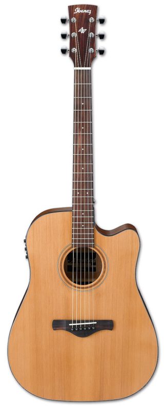 IBANEZ AW65ECE LG