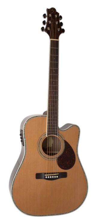 SAMICK D8 CE N