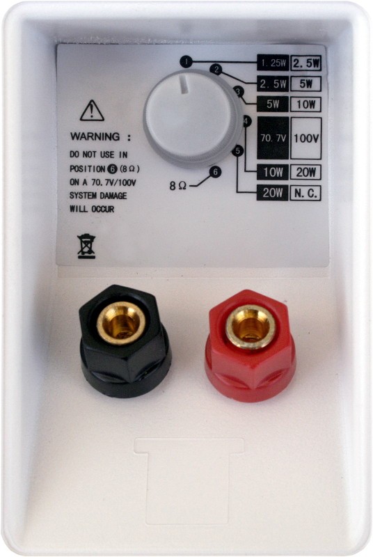 Głośnik 100V BS-1050TS/W