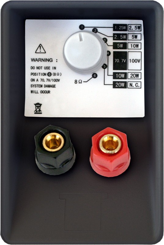 Głośnik 100V BS-1060TS/B