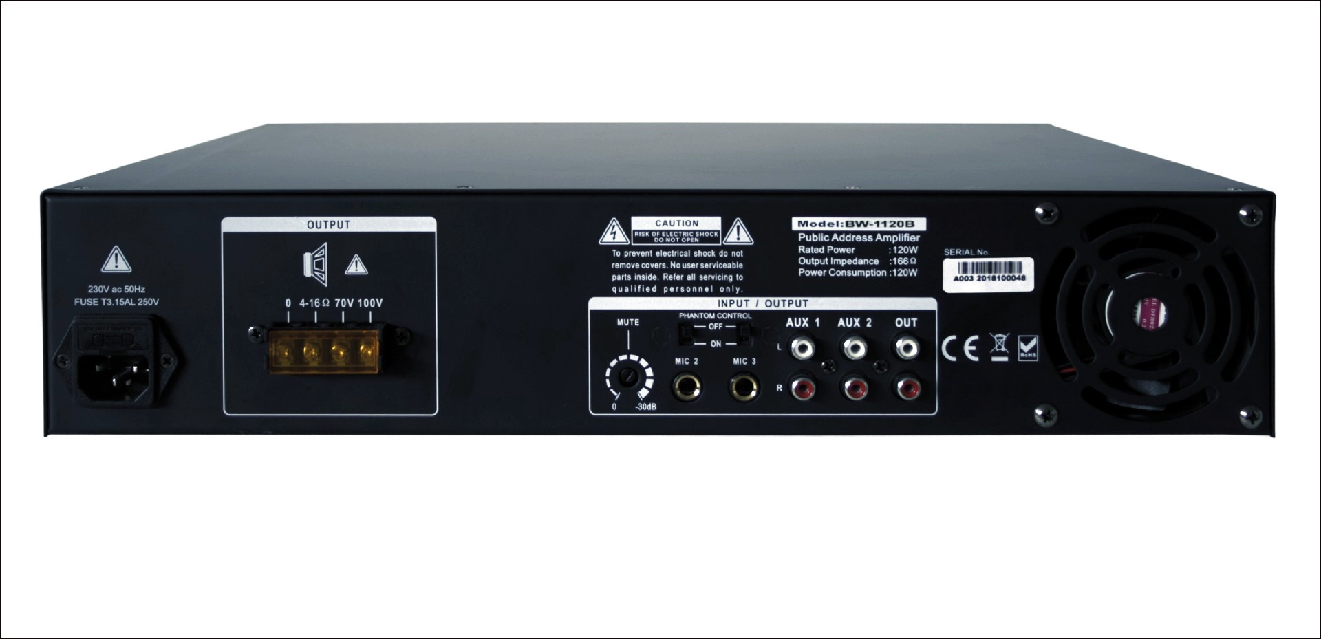 Wzmacniacz 100V BW-1120B