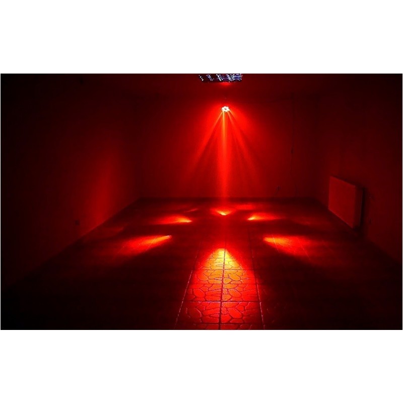 Light4Me Flower Derby LED Kolorofon