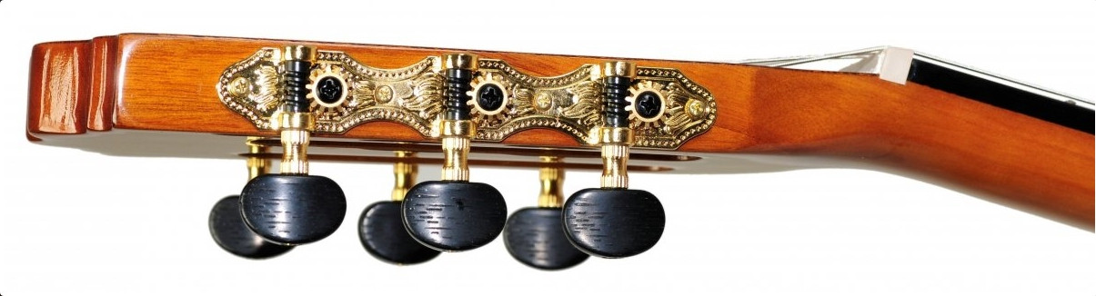 Ever Play Taiki Zebrano 4/4 CEQ G03 - Gitara klasyczna elektroklasyczna
