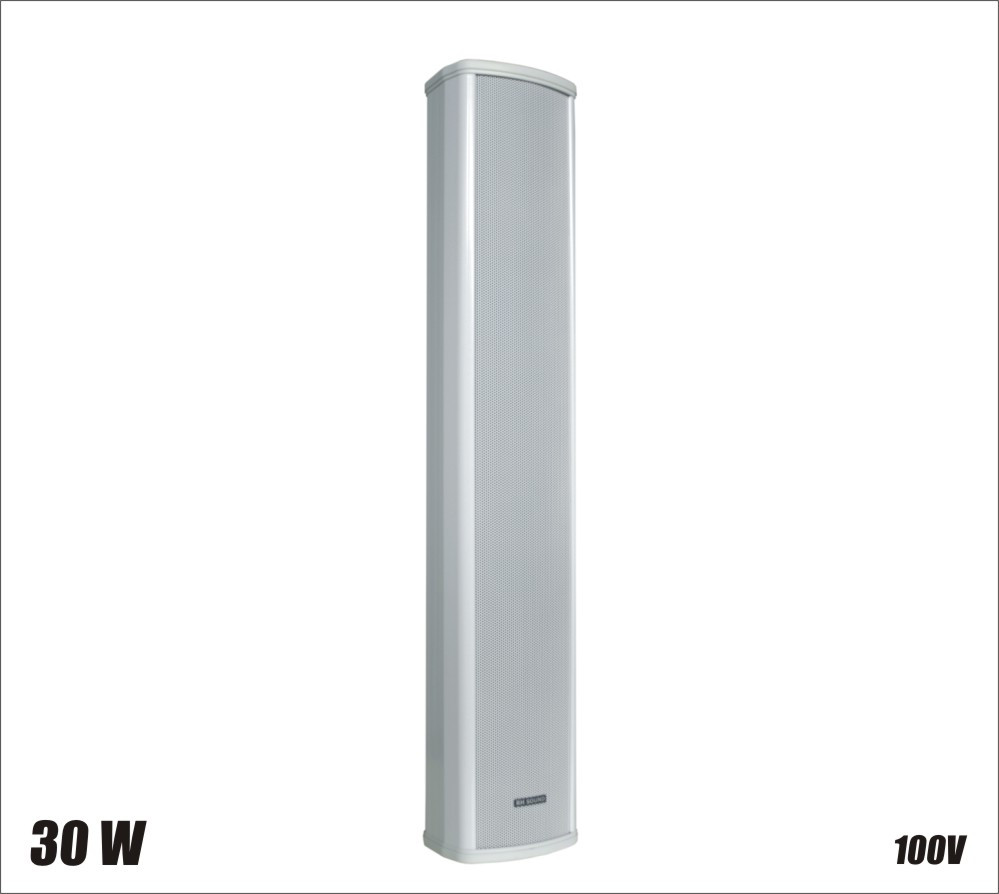 Głośnik 100V CS-26 - głośnik radiowęzłowy