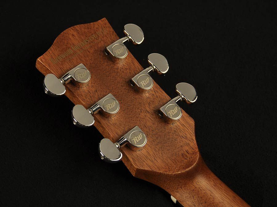 Richwood G-65-CEVA - Gitara Elektroakustyczna