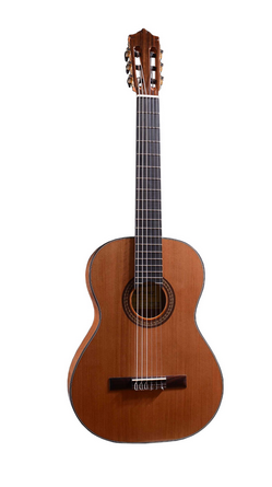 Martinez Etude C Jun (cedr) 3/4 - gitara klasyczna z pokrowcem M20mm