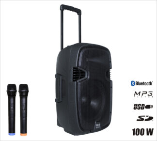 Rh Sound PP-2112ADX-CB HAND-HAND - mobilna kolumna z 2 mikrofonami bezprzewodowymi