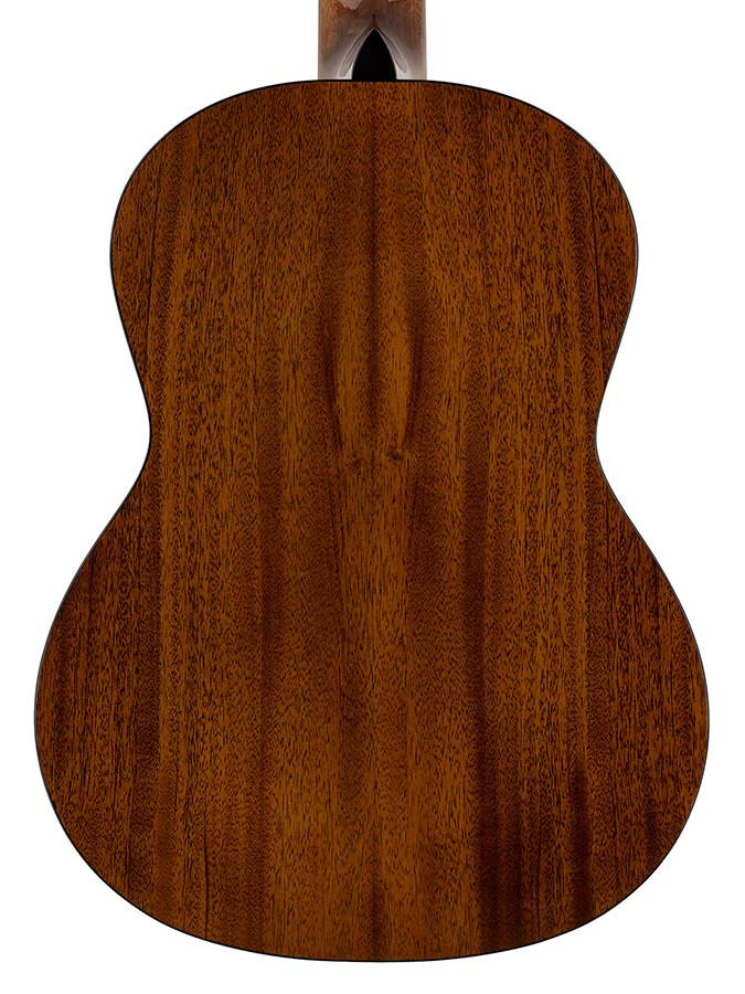 Nova C 4/4 Salvador Student Series - Gitara klasyczna rozm. 4/4