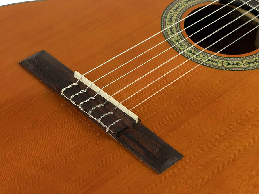 Nova C 4/4 Salvador Student Series - Gitara klasyczna rozm. 4/4