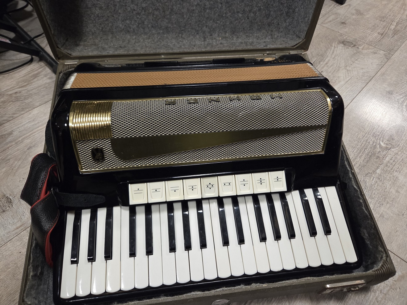 HOHNER Lucia IV P - Akordeon 96 basowy z futerałem i szelkami