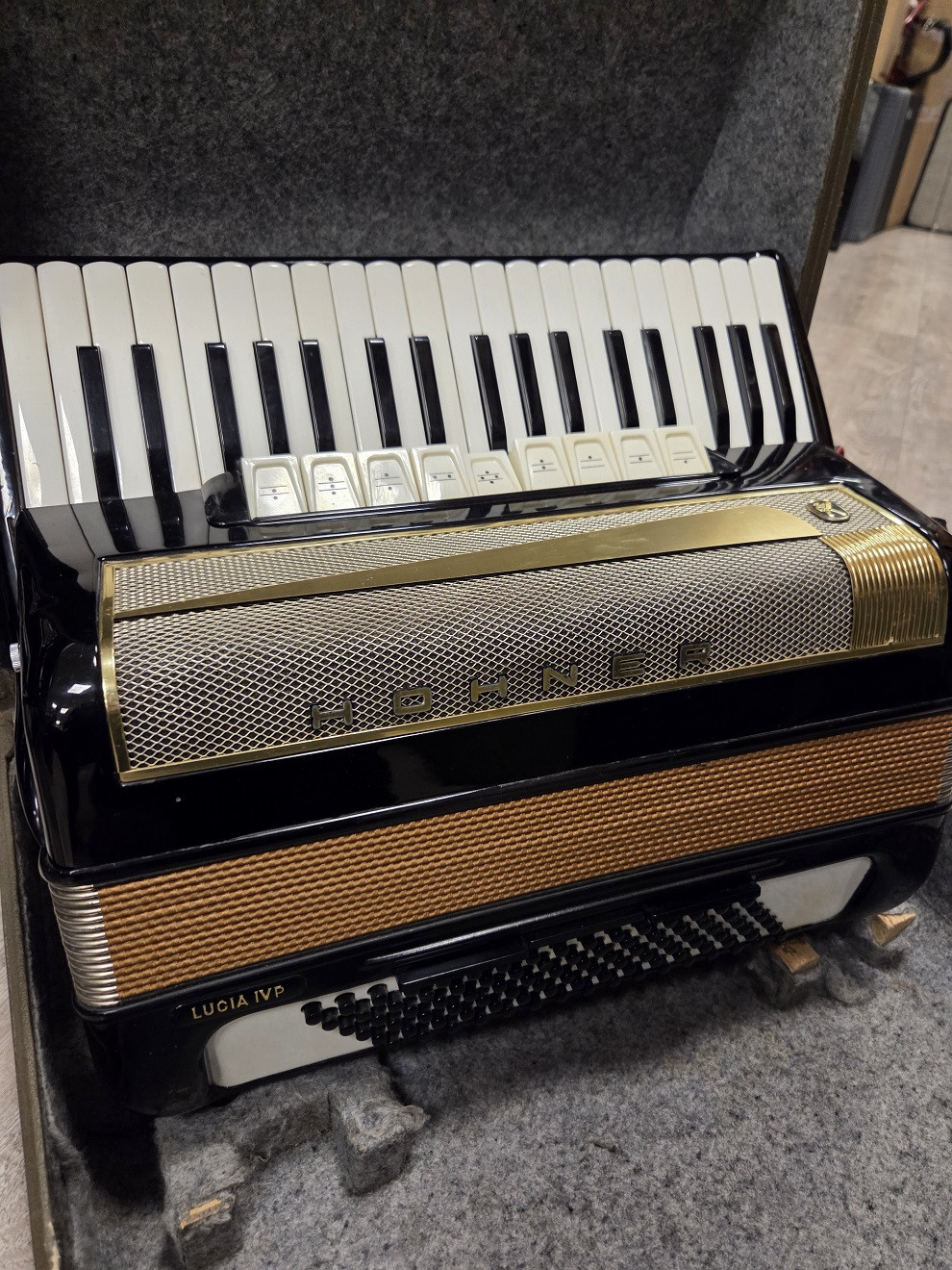 HOHNER Lucia IV P - Akordeon 96 basowy z futerałem i szelkami