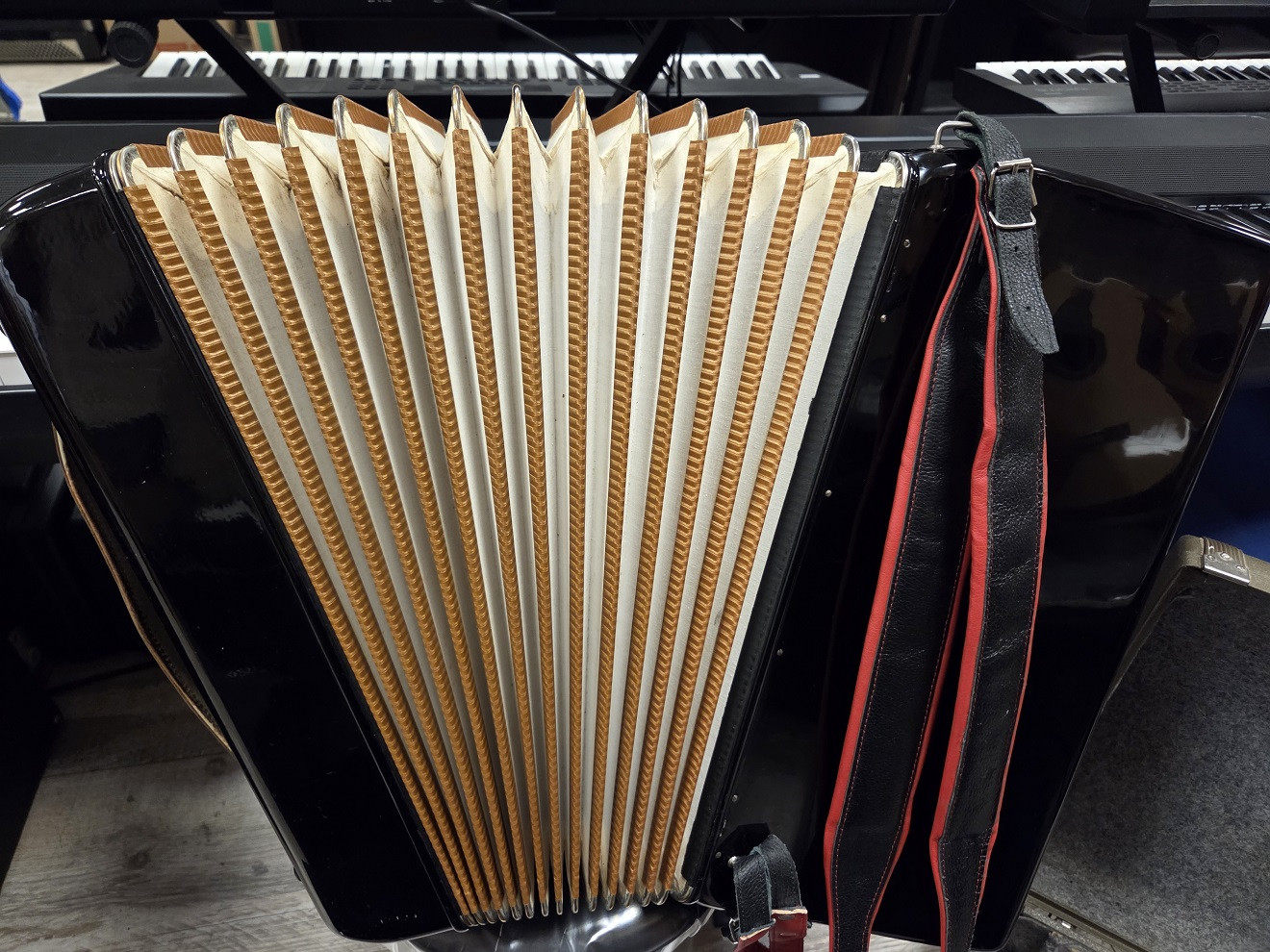 HOHNER Lucia IV P - Akordeon 96 basowy z futerałem i szelkami