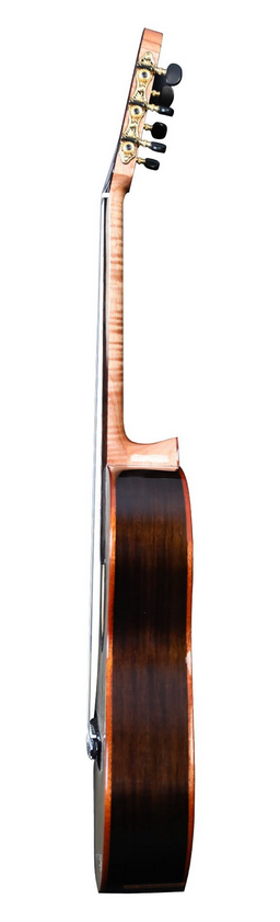 Martinez Torres Rosewood RS 650 - gitara klasyczna 4/4