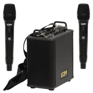 LDM Personal Box Light/V220 XXL - Głośnik mobilny z akumulatorem i 2 mikrofonami bezprzewodowymi