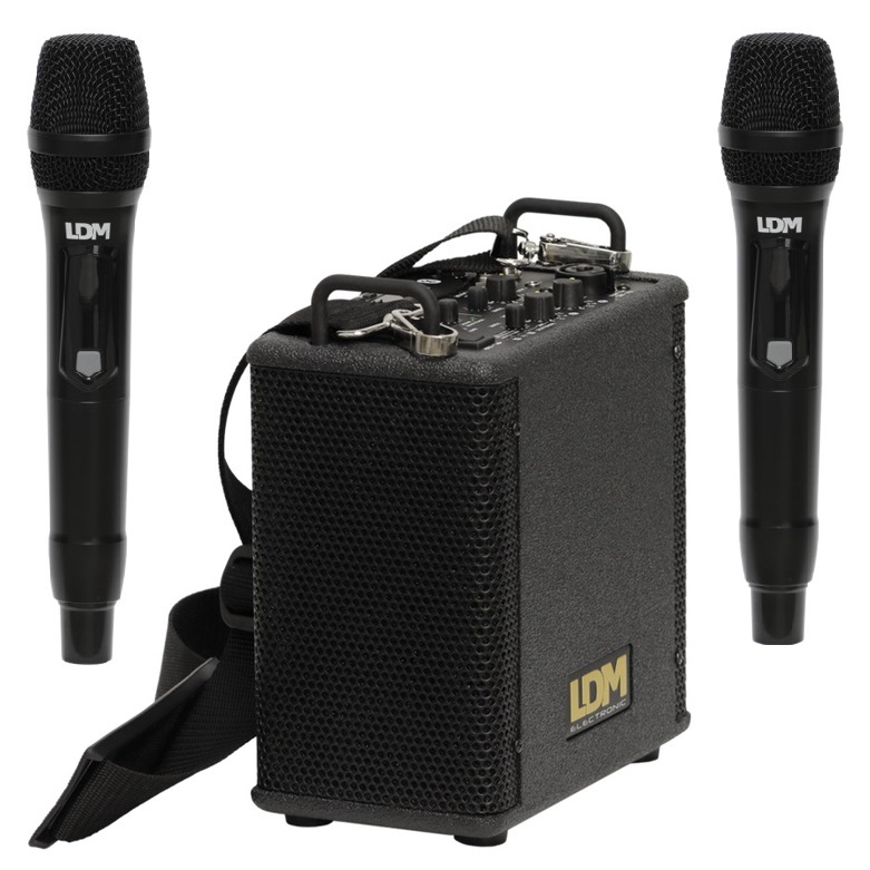 LDM Personal Box Light/V220 XXL - Głośnik mobilny z akumulatorem i 2 mikrofonami bezprzewodowymi